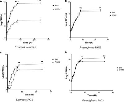 A Relevant Wound-Like in vitro Media to Study Bacterial Cooperation and Biofilm in Chronic Wounds